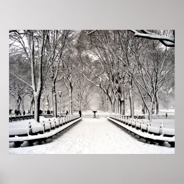 Affiches Parc central 2010 Neige - CIMG6496 (Devant)