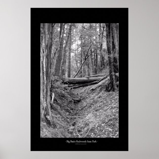 Affiches Parc d'état de Big Basin Redwoods (Devant)