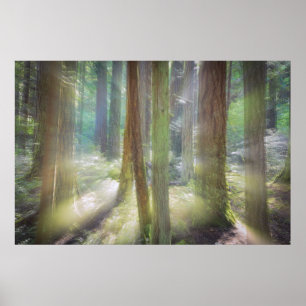 Affiches Parc d'état de pittoresque Beach