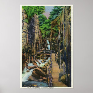 Affiches Parc d'état d'entaille de Franconia