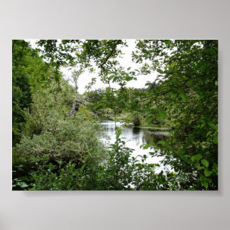 AFFICHES PARC D'ÉTAT DES CÔTES D'OCÉAN