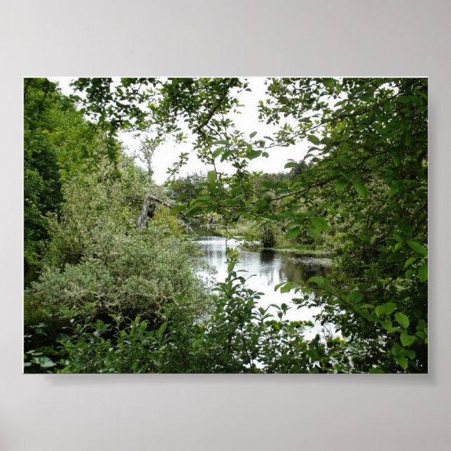 AFFICHES PARC D'ÉTAT DES CÔTES D'OCÉAN (Devant)
