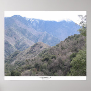 Affiches Parc national de séquoia