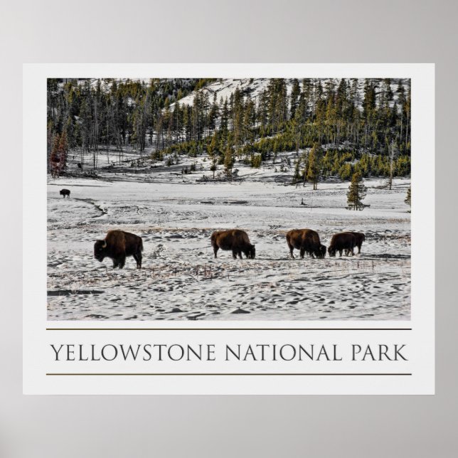 Affiches Parc national de Yellowstone (Devant)