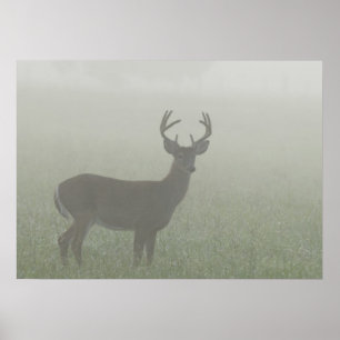 Affiches Parc national des Great Smoky Mountains, Tennesse,