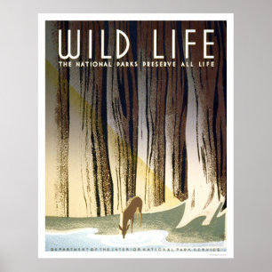 Affiches Parc national Wild Life 1940 WPA