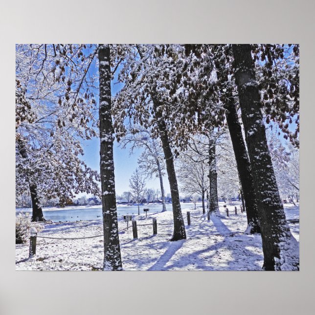 AFFICHES "PARC OLANDER DANS LA NEIGE" (Devant)