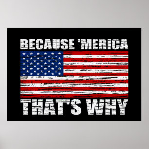 Affiches PARCE QUE 'MERICA QUI EST POURQUOI l'affiche de