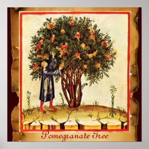 AFFICHES PARCHEMENT ANTICIPÉ D'ARBRE POMÉGRANÉ