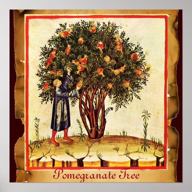 AFFICHES PARCHEMENT ANTICIPÉ D'ARBRE POMÉGRANÉ (Devant)