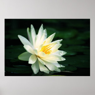 Affiches Parement du Sun