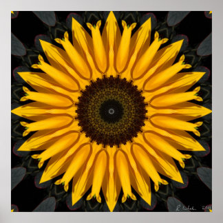 Affiches Parfait tournesol