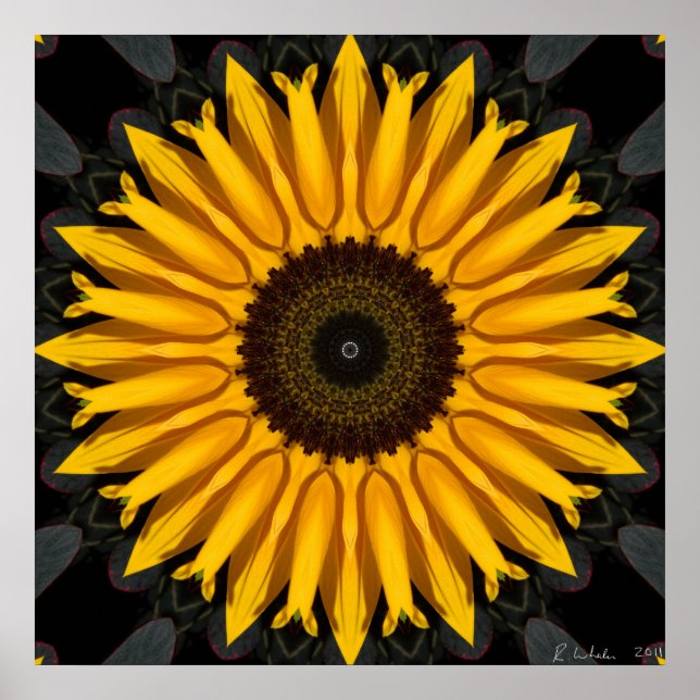 Affiches Parfait tournesol (Devant)