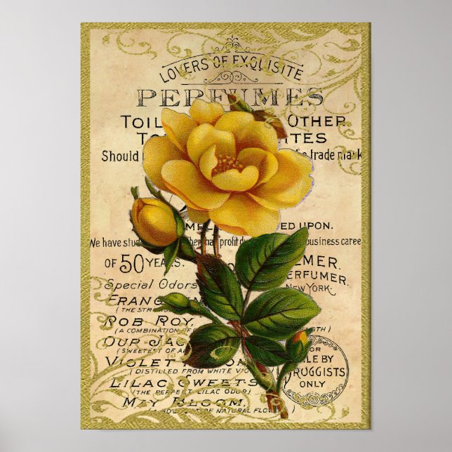 Affiches Parfum de roses jaunes antiques (Devant)