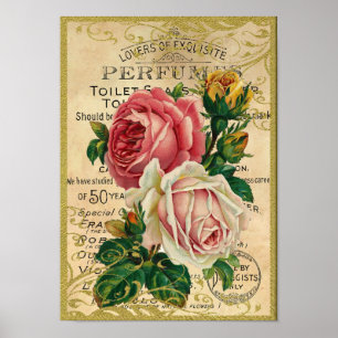 Affiches Parfum Rose antique