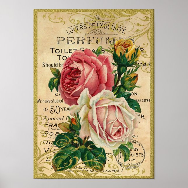 Affiches Parfum Rose antique (Devant)