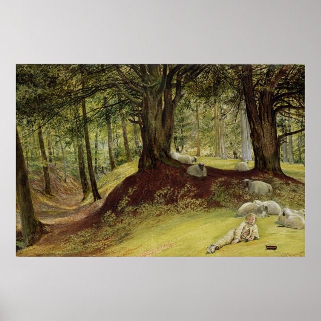 Affiches Parkhurst Woods, Abinger, Surrey (Devant)