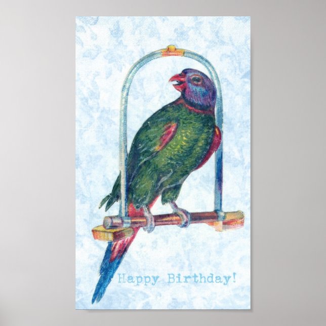 Affiches Parrot d'anniversaire (Devant)
