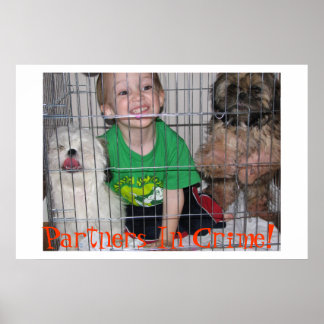 Affiches Partenaires Dans Le Crime !