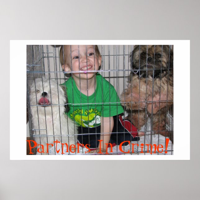 Affiches Partenaires Dans Le Crime ! (Devant)