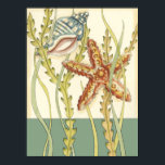 Affiches Partie Shell multicolore<br><div class="desc">Charikilia Zarris est une artiste talentueuse connue pour ses oeuvres d'art océaniques. Ses images sont paisibles et calmes vous relaxant avec chaque photo. Obtenez cette oeuvre d'art nautique avec une étoile de mer et une coquille Conch étant le centre de tout, bordé de belle varech. Cette image sera très belle...</div>