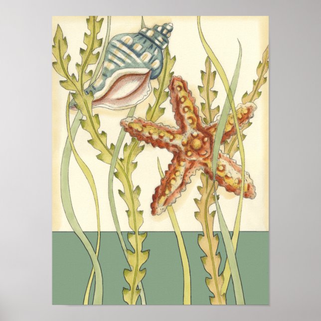 Affiches Partie Shell multicolore (Devant)