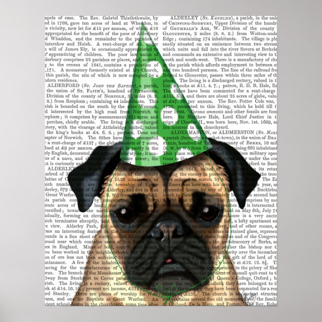 Affiches Party Pug (Devant)