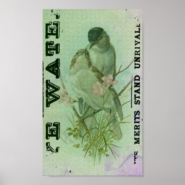 Affiches Paruline Vintage (Devant)