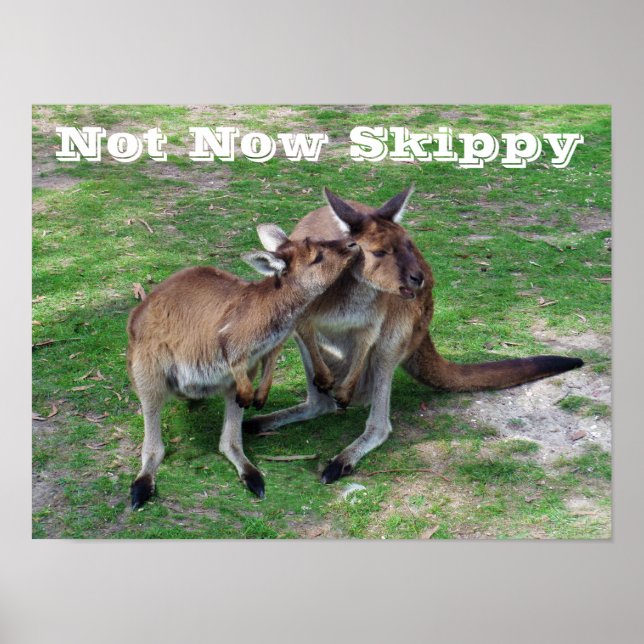 Affiches Pas maintenant Skippy (Devant)