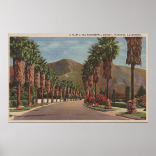 Affiches Pasadena, CA - Scène de rue résidentielle & Palms