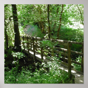 Affiches Passerelle dans la région boisée