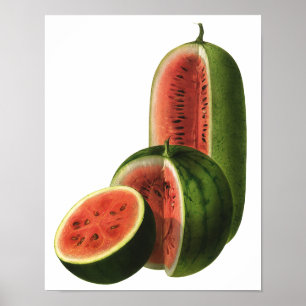 Affiches Pastèques Vintage Hautes Rondes, Aliments Biologiq