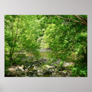 Affiches Patapsco River View Maryland Nature Photographie