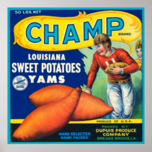 Affiches Patates douces de la Louisiane de champion