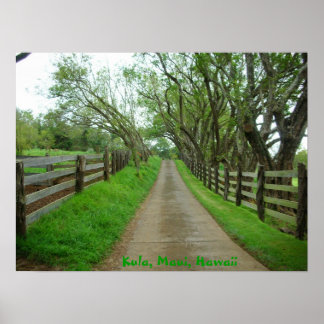 Affiches Pâtes vertes