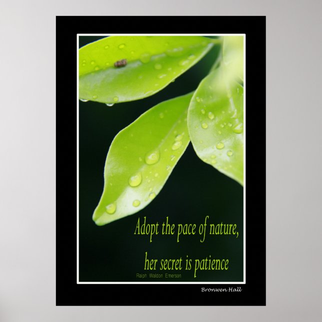 Affiches Patience (Devant)