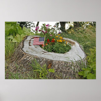 Affiches Patriotic Stump
