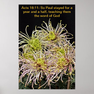 Affiches Paul est donc resté un an et demi