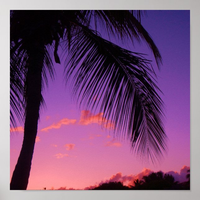 Affiches paume saphir (Devant)