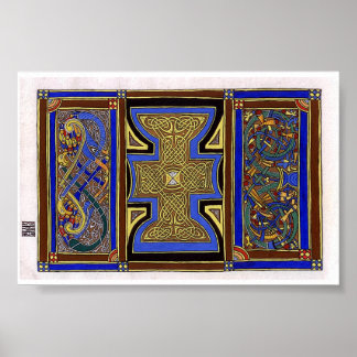 Affiches Pavo Floris