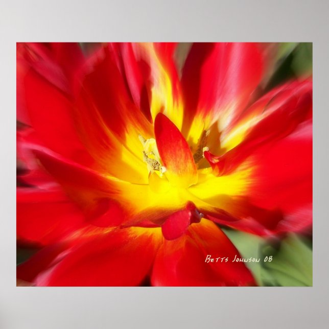 Affiches Pavot en feu ! (Devant)