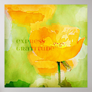 Affiches Pavot exprès d'orange de gratitude