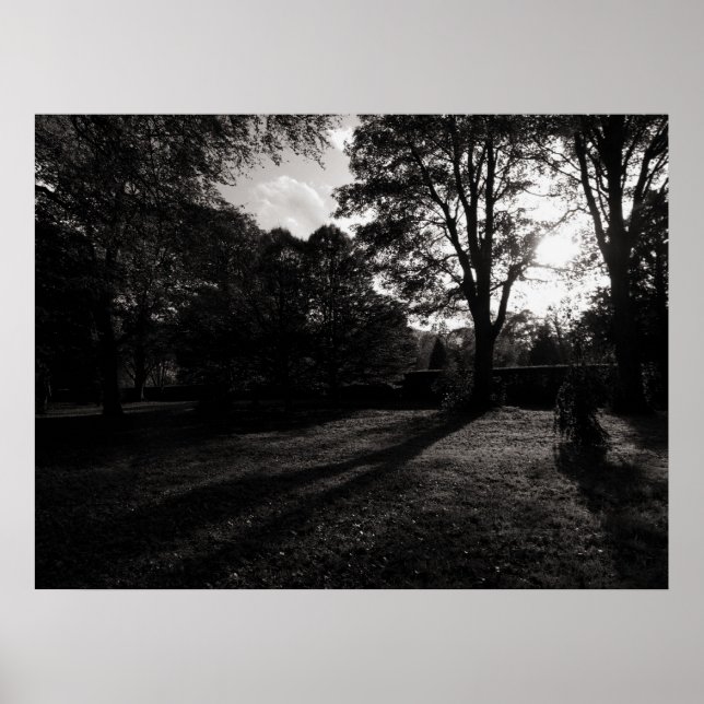Affiches Paysage d'automne Bute Park Cardiff (Devant)