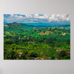 Affiches Paysage de café