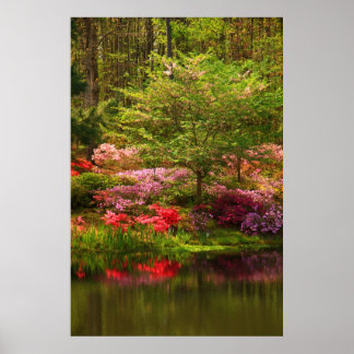 Affiches Paysage de l'appel