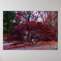 Paysage de l'arbre d'automne