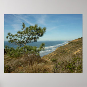 Affiches Paysage de Torrey Pine et de la côte californienne