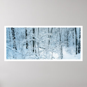 Affiches Paysage d'hiver panoramique