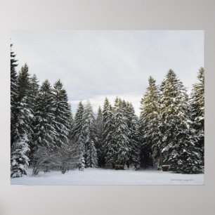 Affiches Paysage d'hiver près de Koenigsfeld, Forêt-Noire,