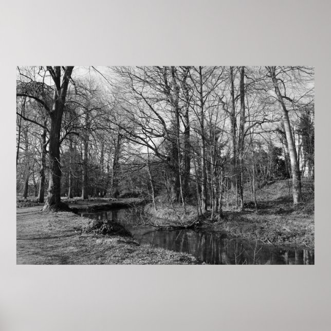 Affiches Paysage du parc - Bute Park, Cardiff (Devant)